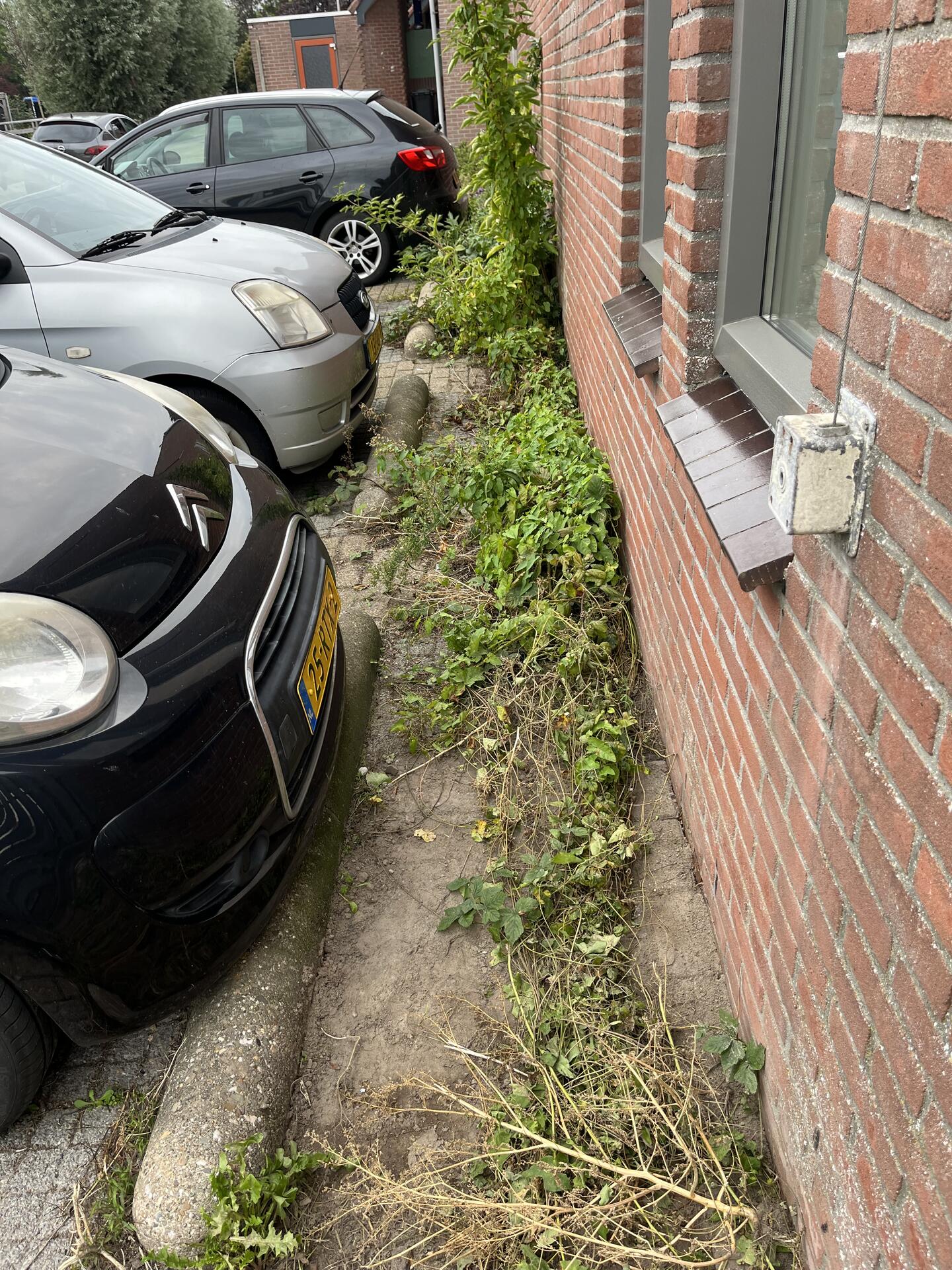 Foto bij melding 5639632 · Openbaar groen