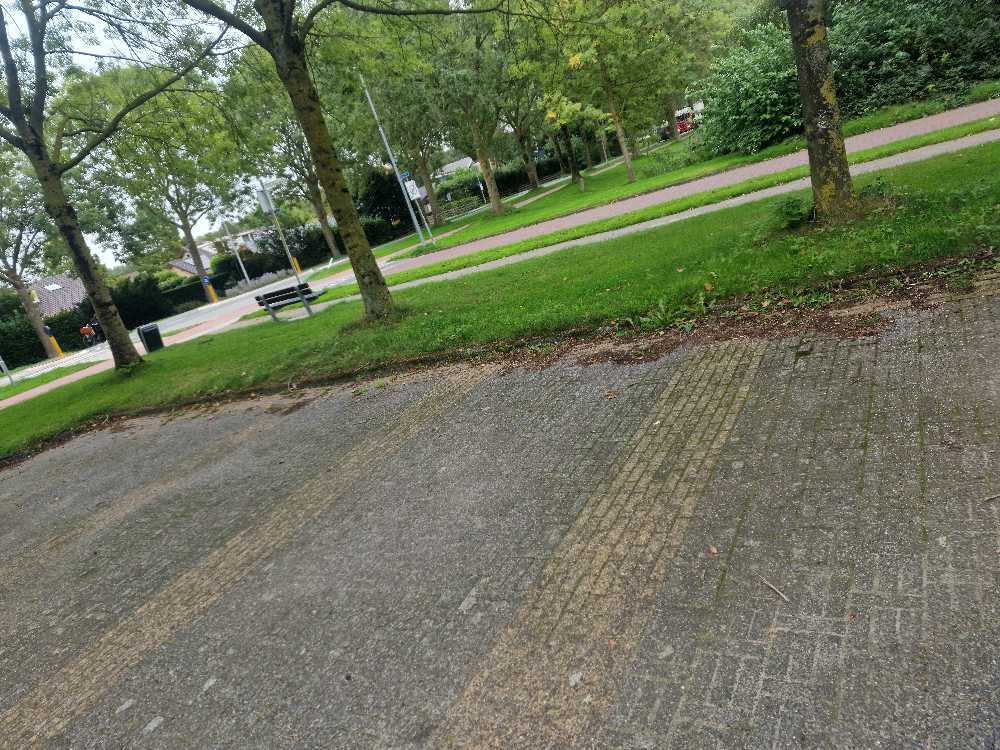 Foto bij melding 5606428 · Openbaar groen