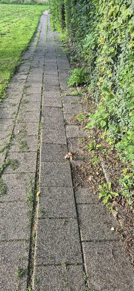 Foto bij melding 5585293 · Wegen/Stoepen