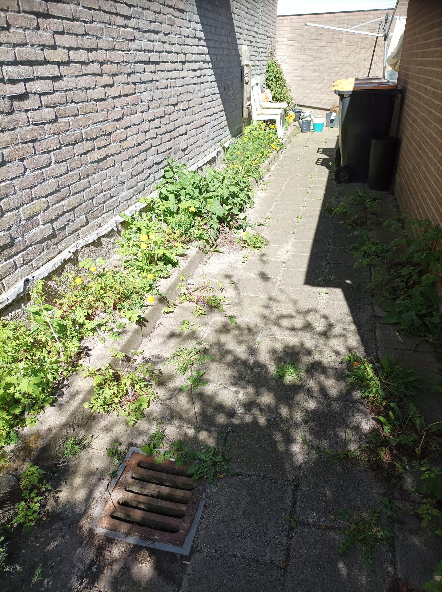 Foto bij melding 5043900 · Openbaar groen