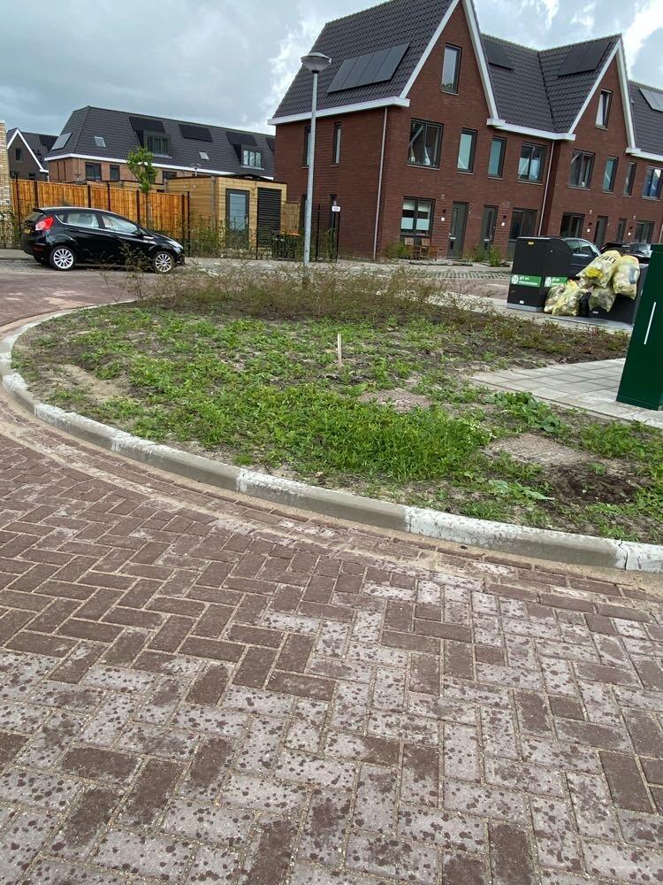 Foto bij melding 5102454 · Openbaar groen