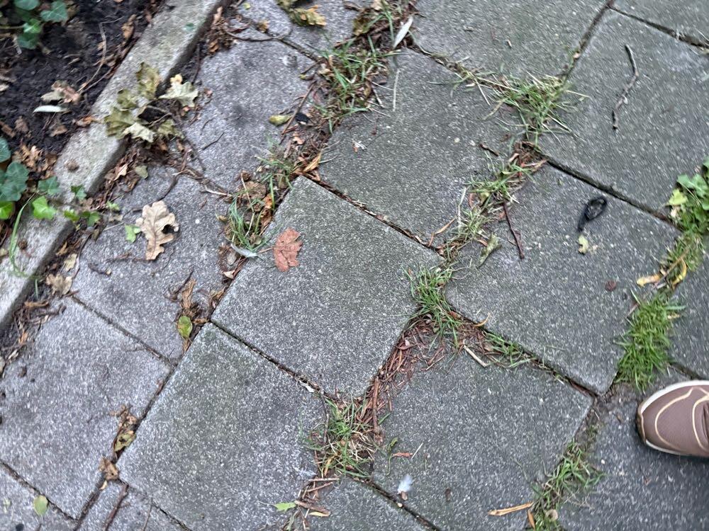 Foto bij melding 5578668 · Wegen en paden