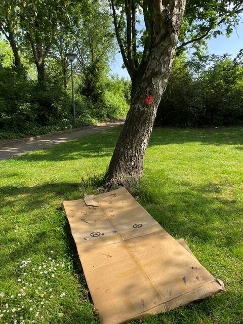 Foto bij melding 5130489 · Afval en zwerfvuil