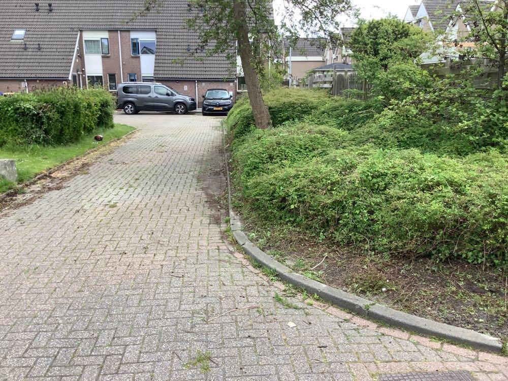 Foto bij melding 5118105 · Groenonderhoud
