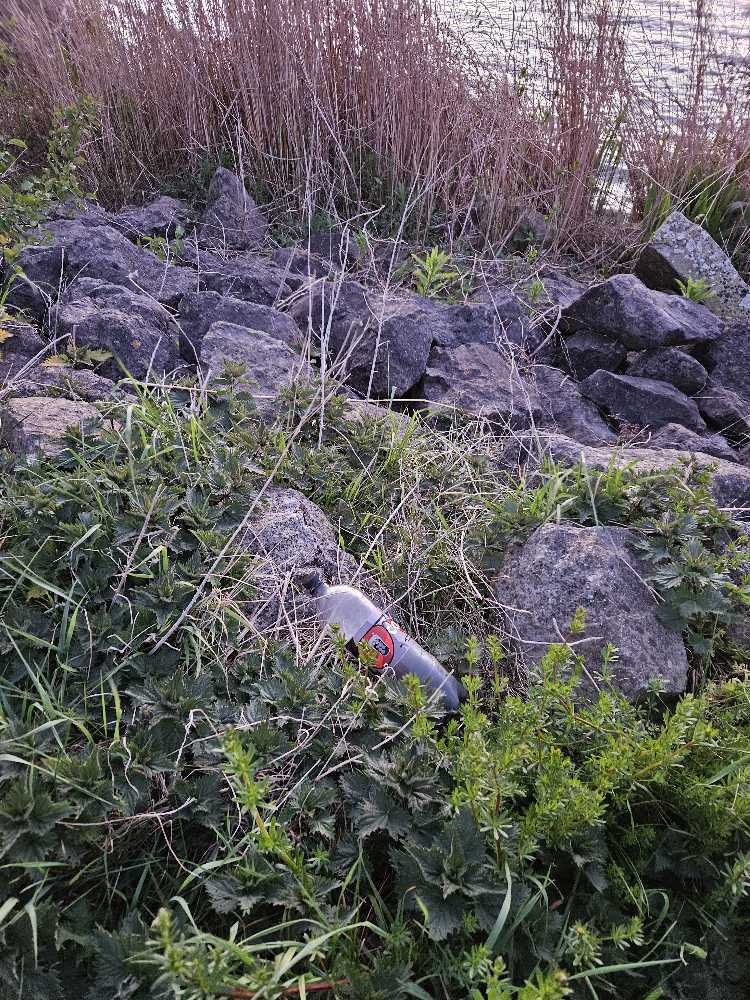 Foto bij melding 5033516 · Afval/Hondenpoep/Ongedierte/Dode dieren