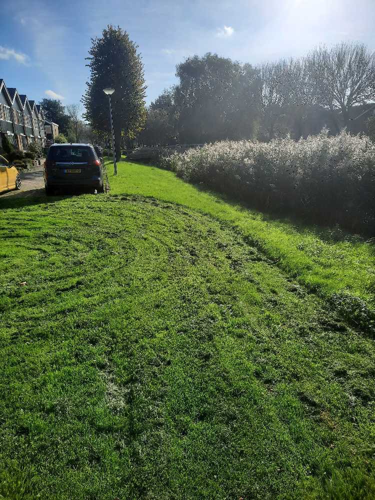Foto bij melding 5707664 · Openbaar groen