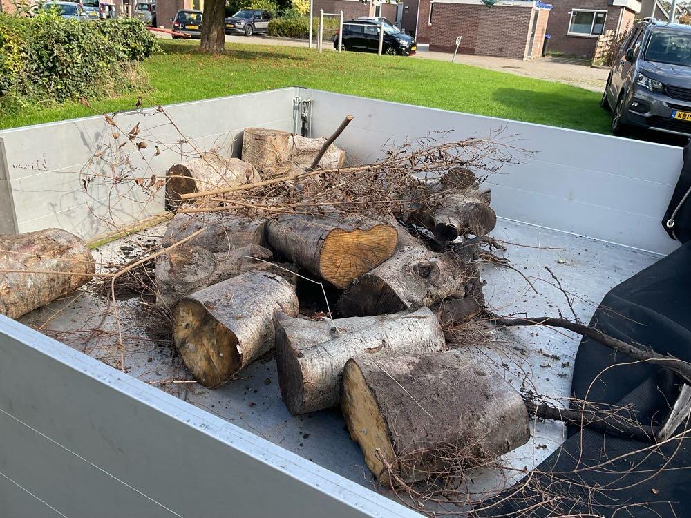 Foto bij melding 5661686 · Groenonderhoud