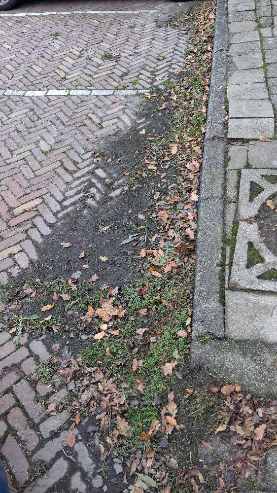 Foto bij melding 5704574 · Wegen, fietspaden, en stoepen