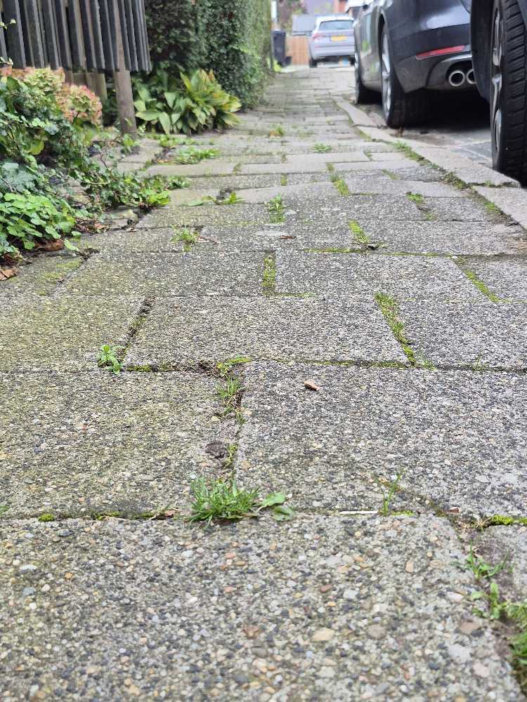 Foto bij melding 5576562 · Wegen, fietspaden, en stoepen