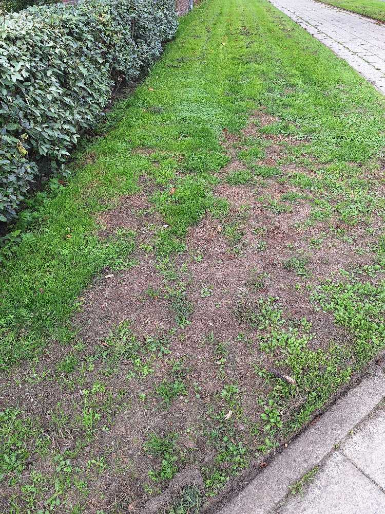 Foto bij melding 5593833 · Groenonderhoud
