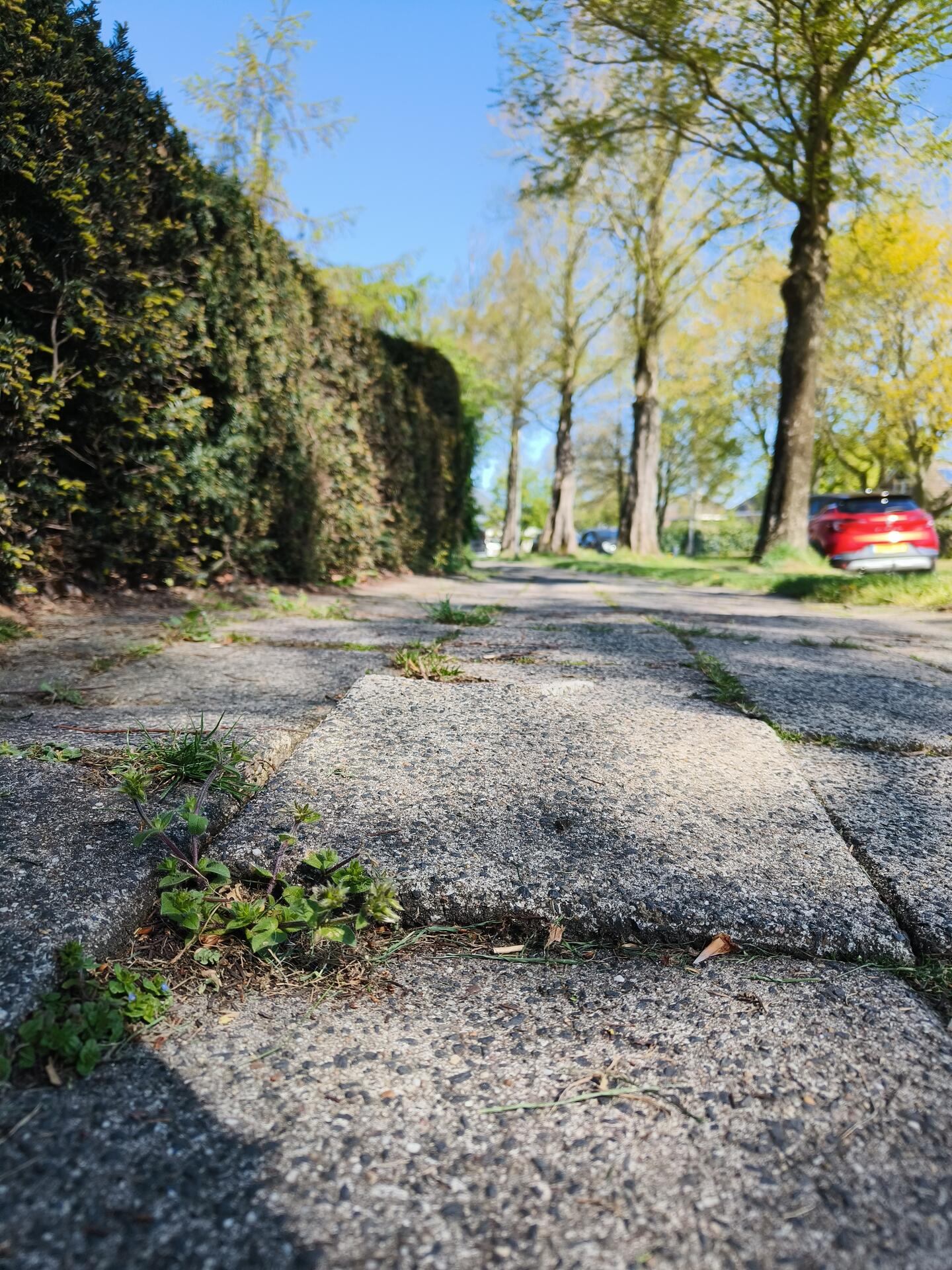 Foto bij melding 5043939 · Wegen, fietspaden, en stoepen
