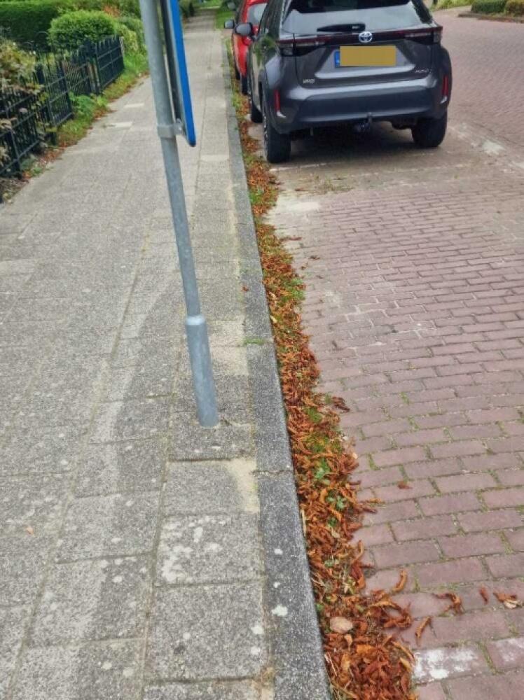 Foto bij melding 5606380 · Openbaar groen