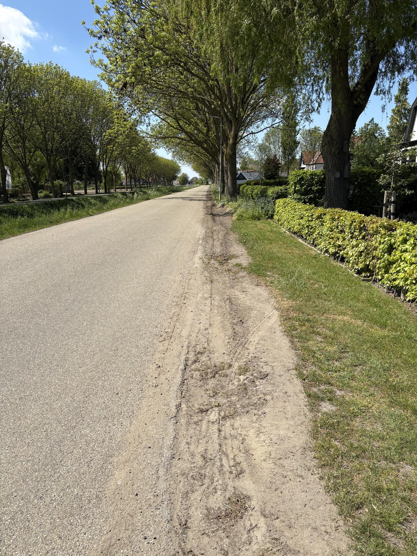 Foto bij melding 5076806 · Openbaar groen