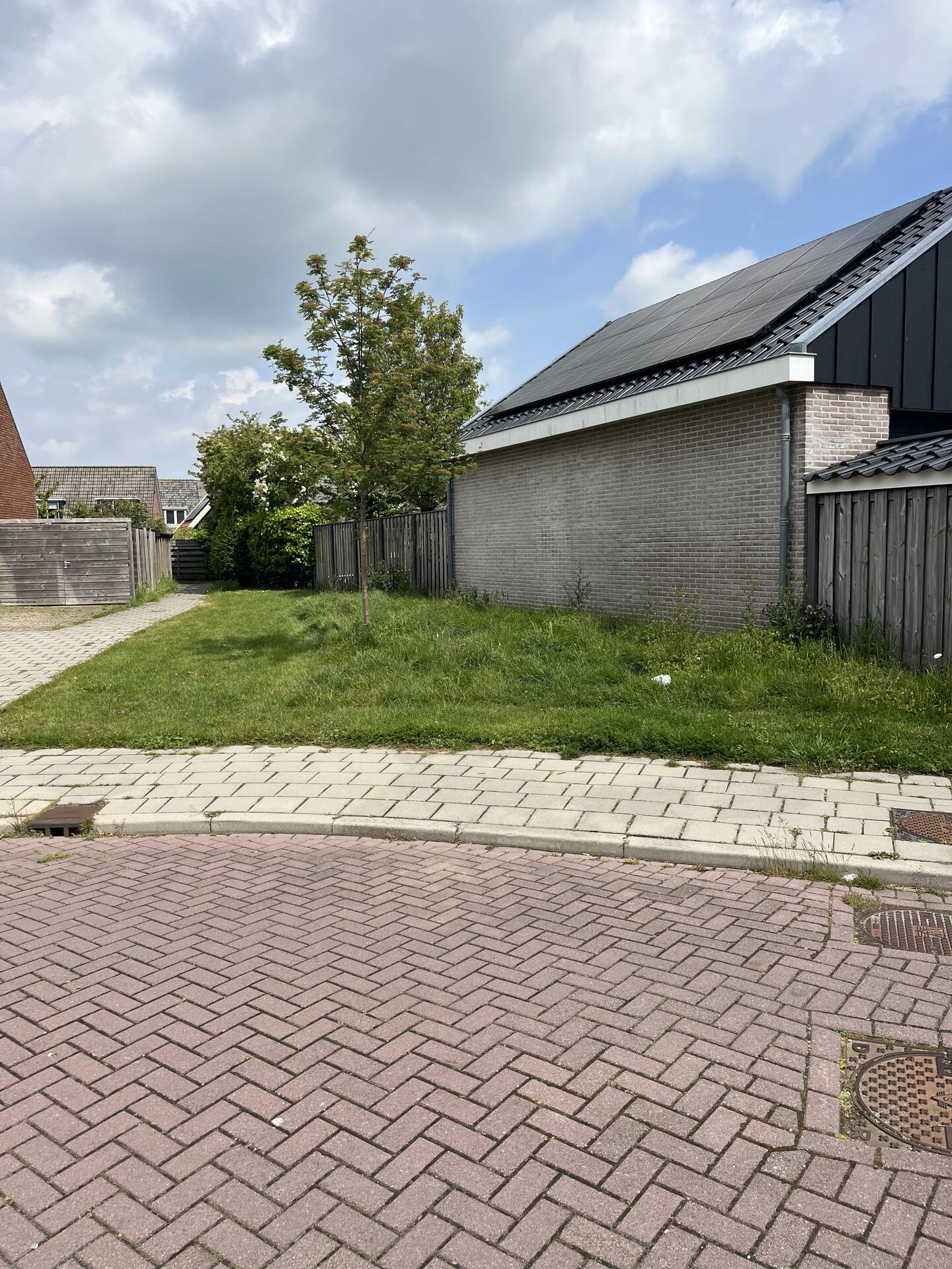 Foto bij melding 5116232 · Openbaar groen