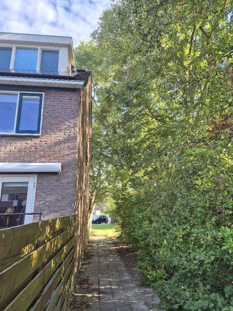 Foto bij melding 5532770 · Groenonderhoud
