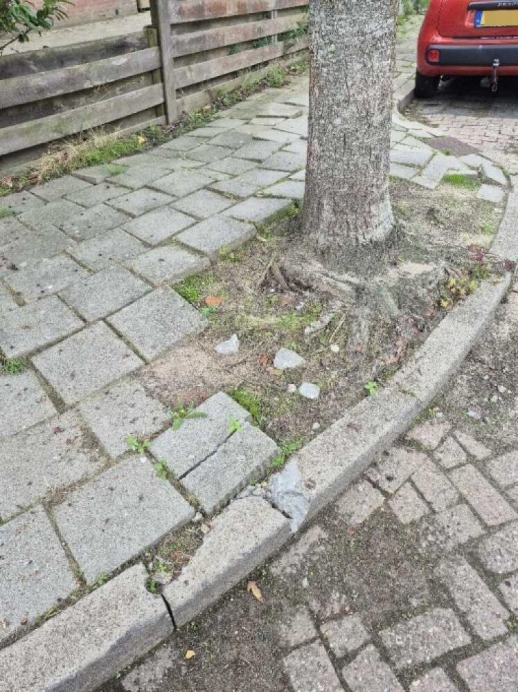 Foto bij melding 5576562 · Wegen, fietspaden, en stoepen