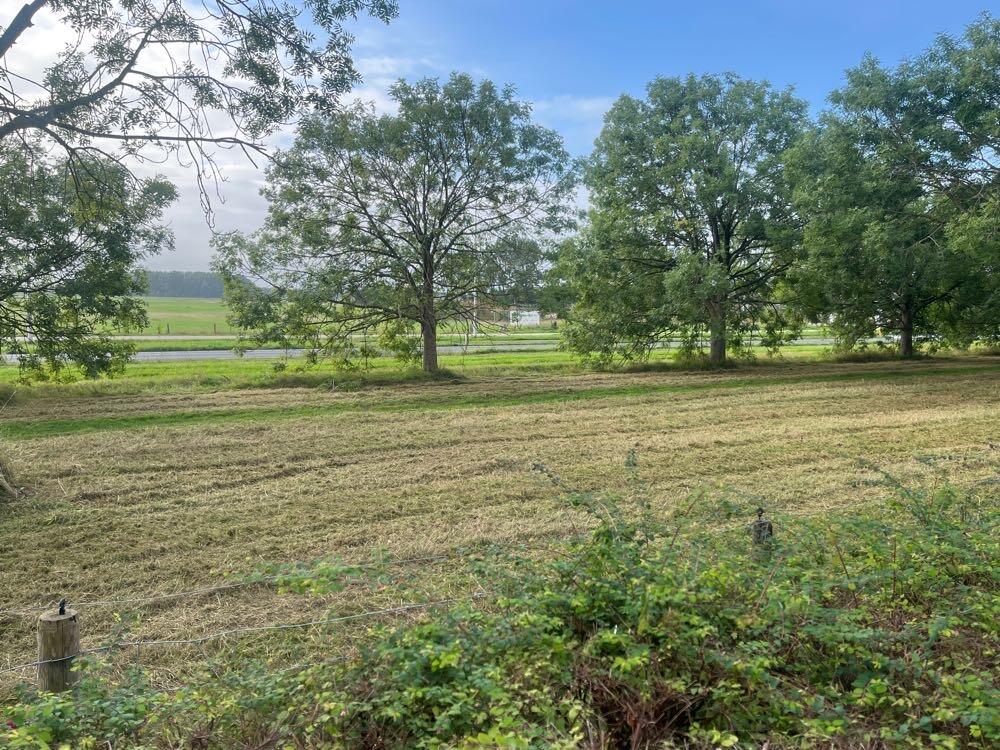 Foto bij melding 5604641 · Openbaar groen