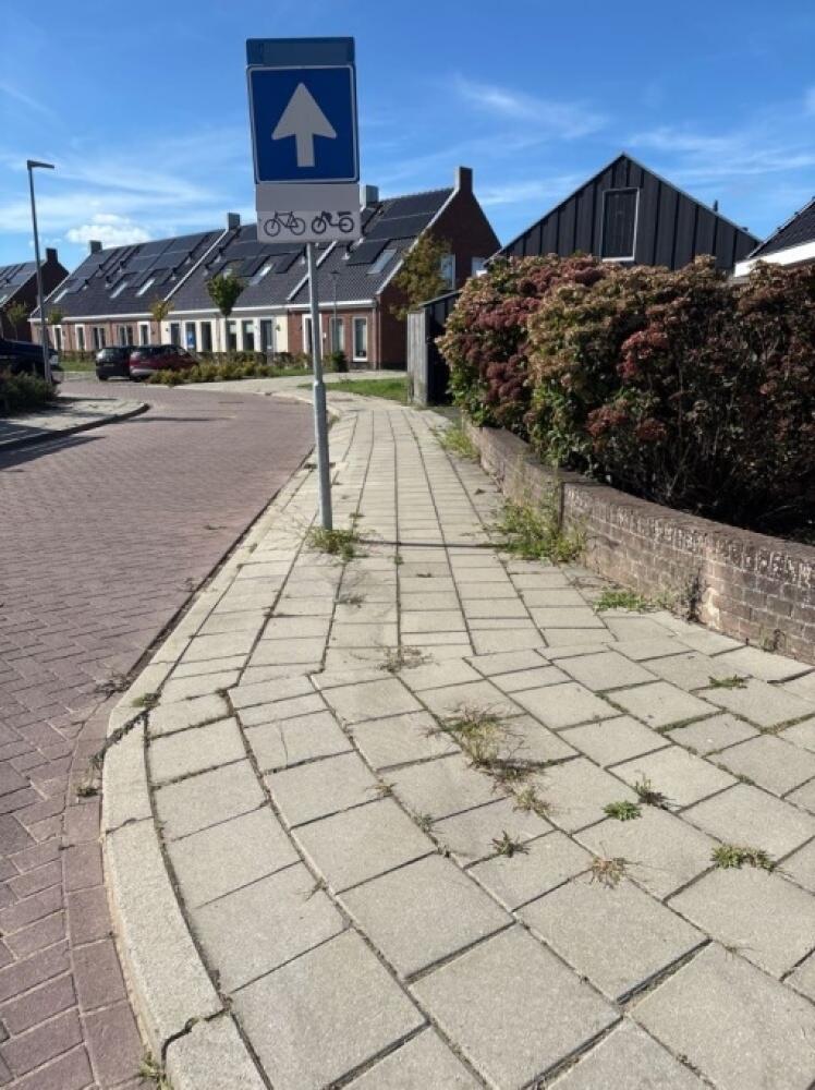 Foto bij melding 5530794 · Openbaar groen