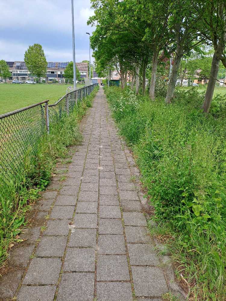 Foto bij melding 5116199 · Openbaar groen