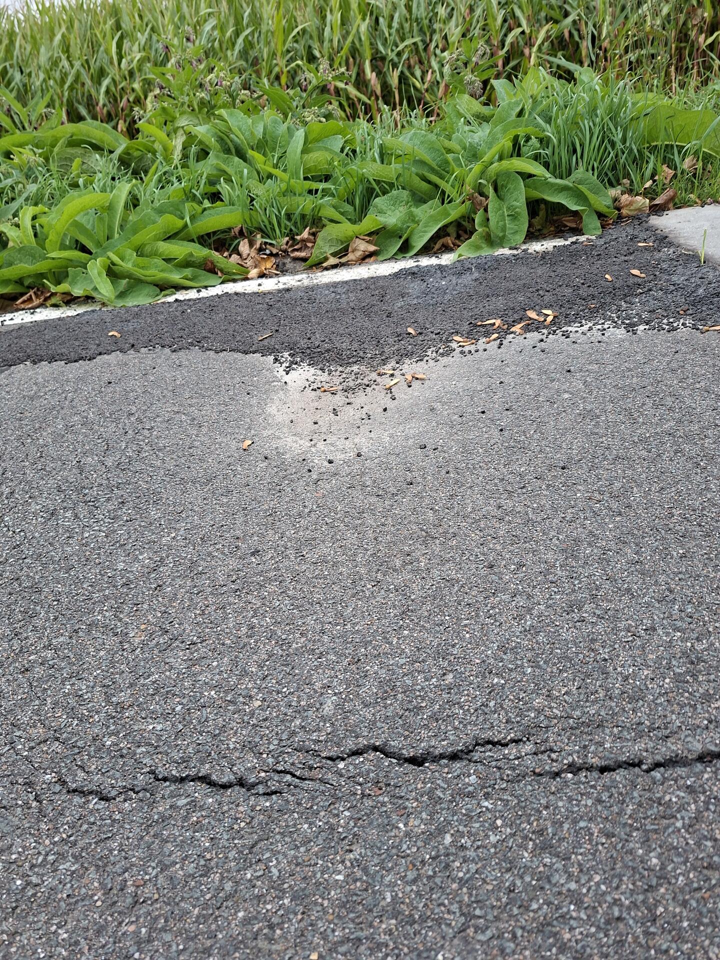Foto bij melding 5540951 · Wegen, fietspaden, en stoepen