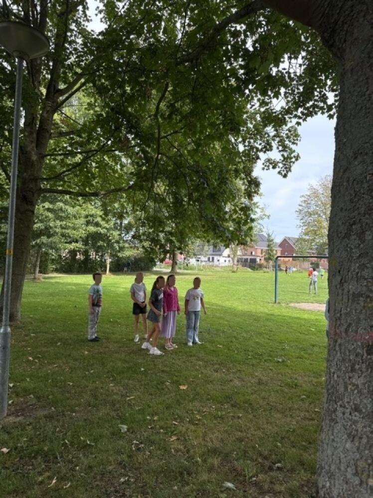 Foto bij melding 5512153 · Openbaar groen