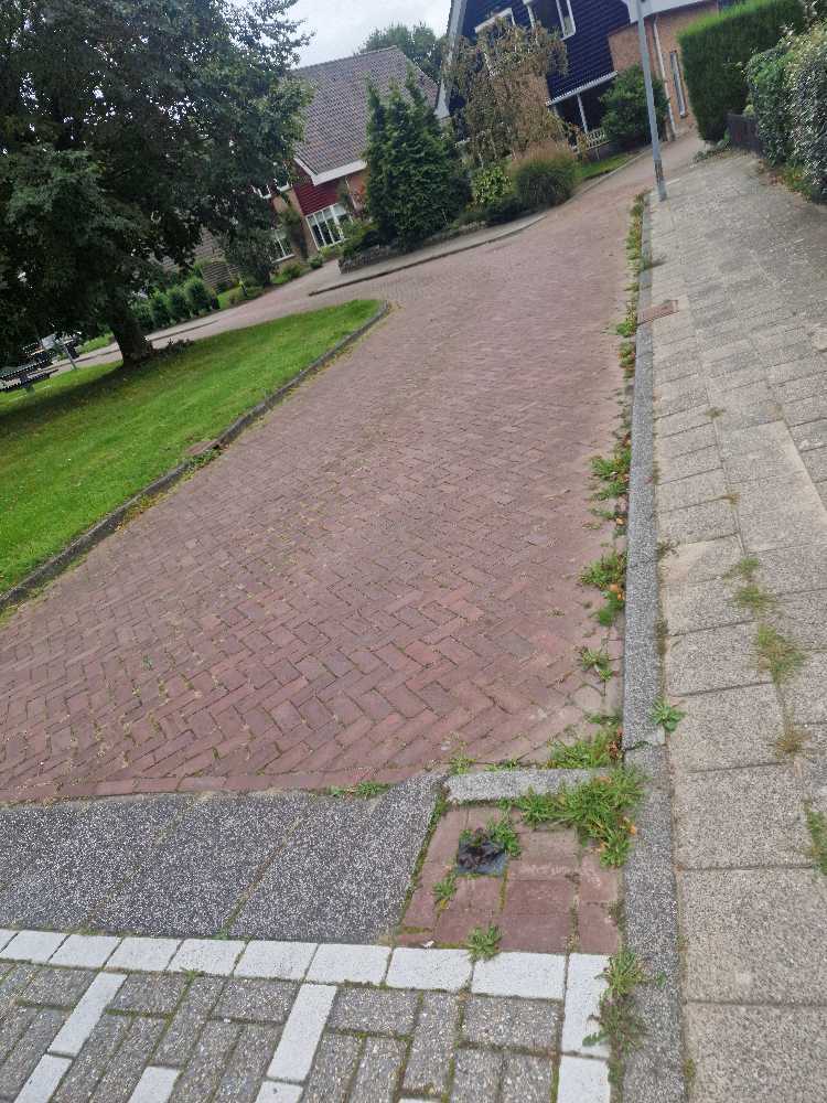 Foto bij melding 5606399 · Openbaar groen