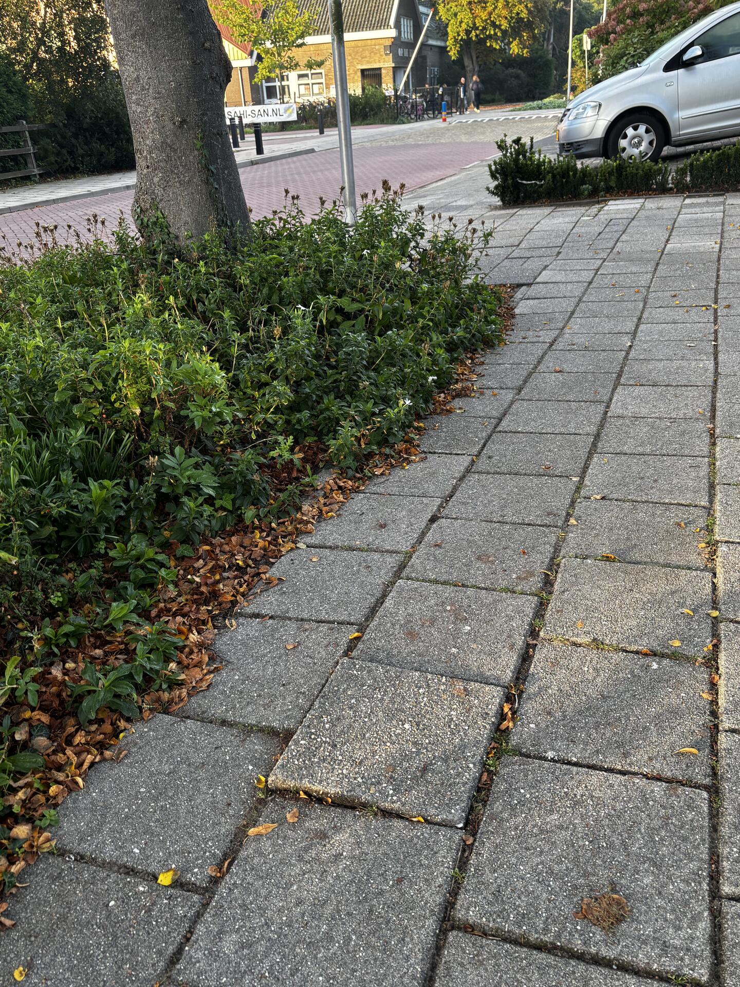Foto bij melding 5645400 · Wegen, fietspaden, en stoepen