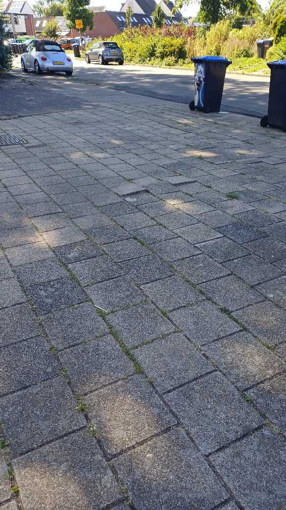 Foto bij melding 5504654 · Wegen en paden