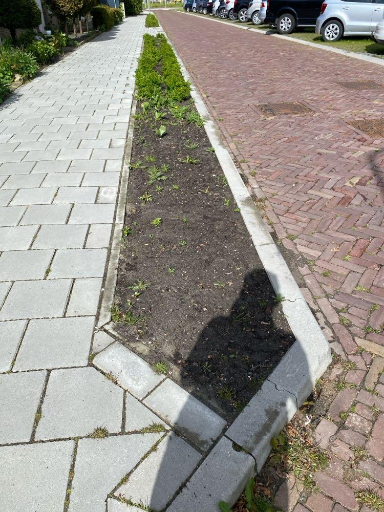 Foto bij melding 5105077 · Openbaar groen