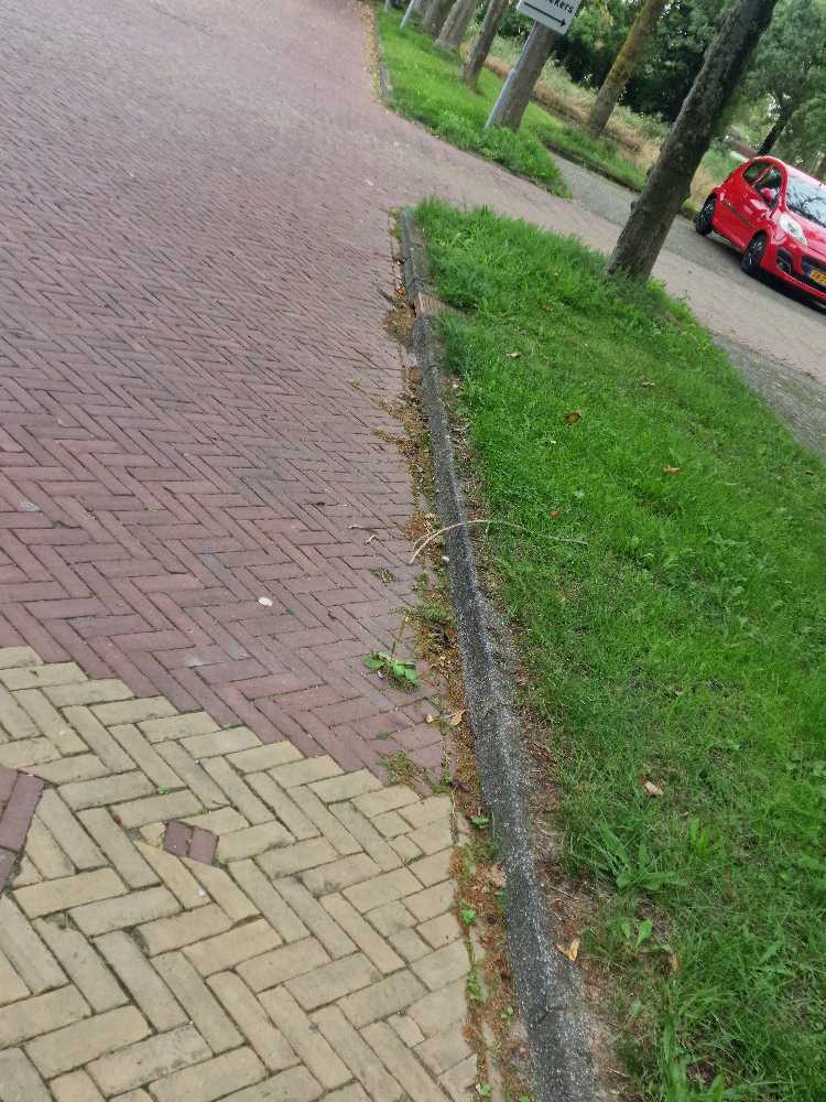 Foto bij melding 5606428 · Openbaar groen