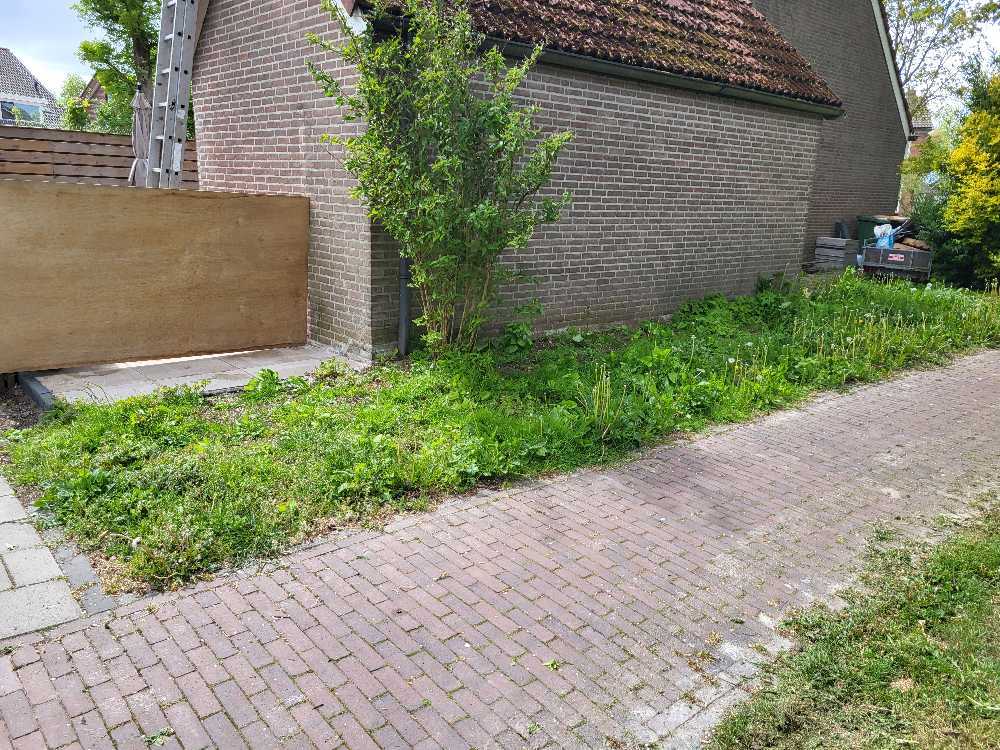 Foto bij melding 5095985 · Openbaar groen