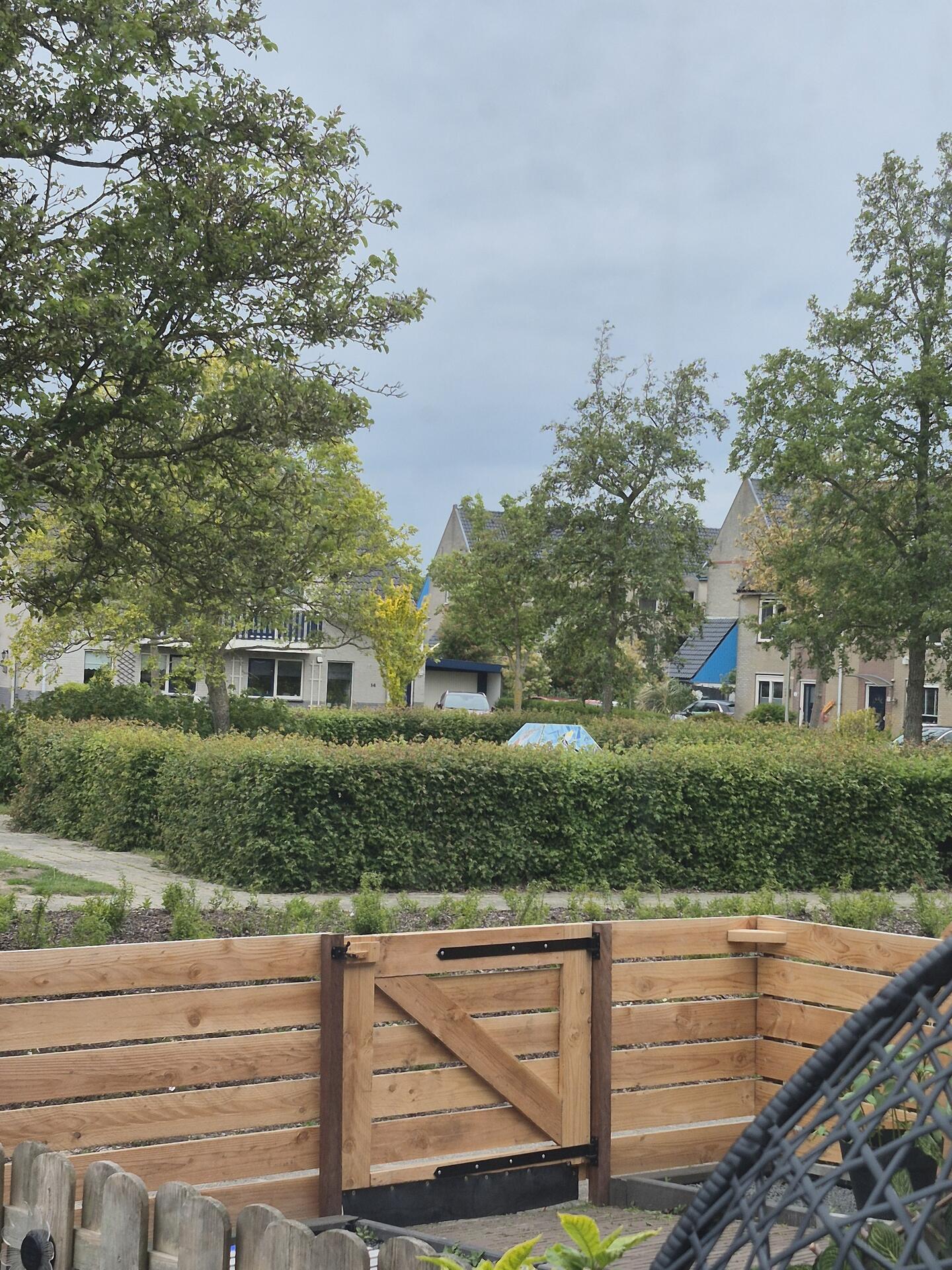 Foto bij melding 5121312 · Openbaar groen