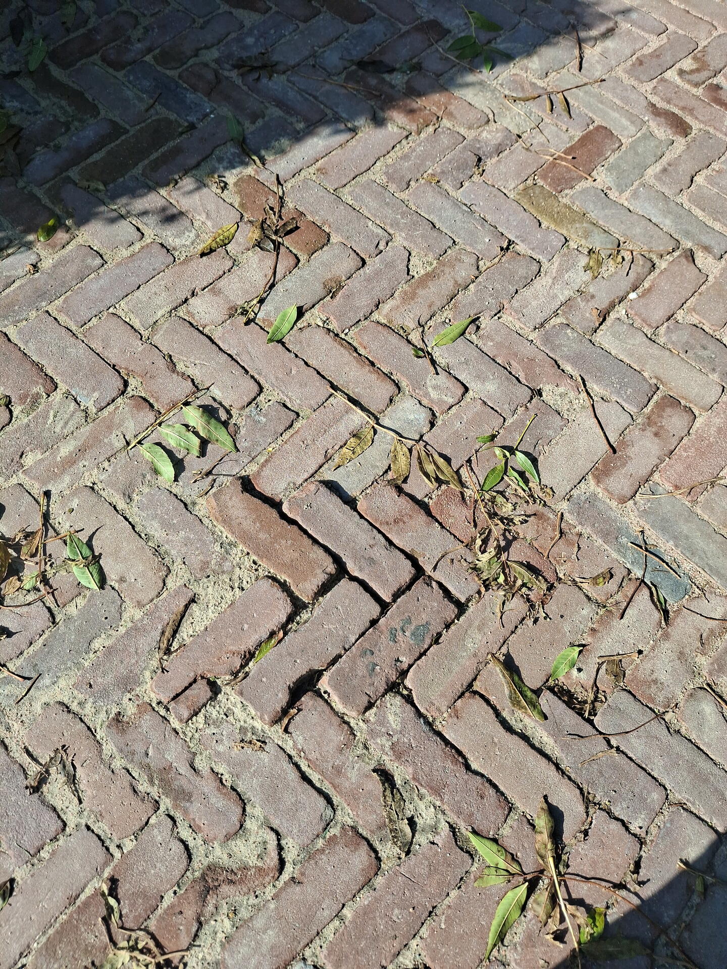 Foto bij melding 5646368 · Wegen, fietspaden, en stoepen