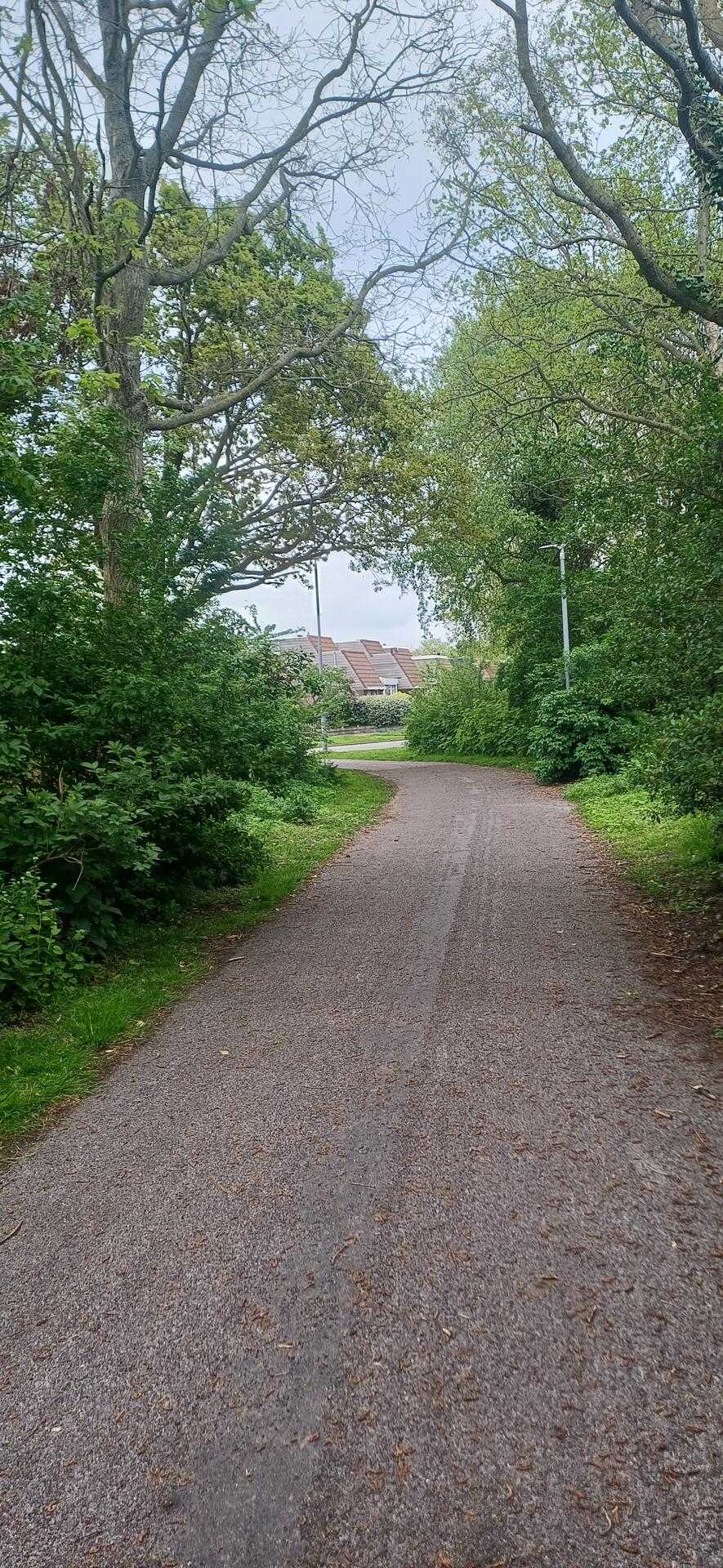 Foto bij melding 5073352 · Groenonderhoud