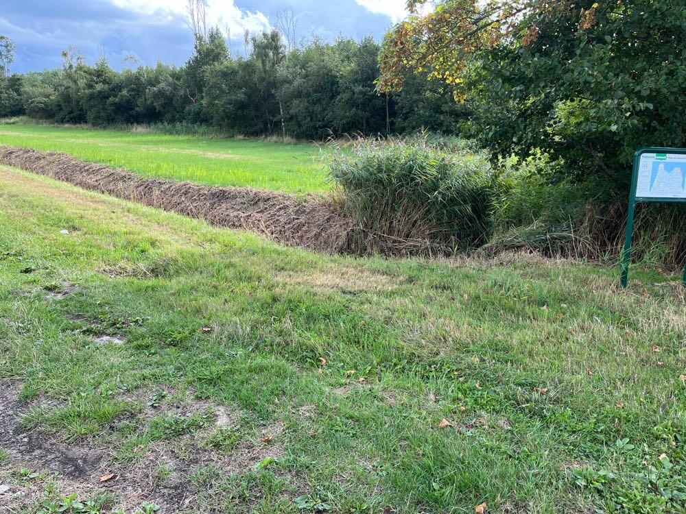 Foto bij melding 5530471 · Openbaar groen