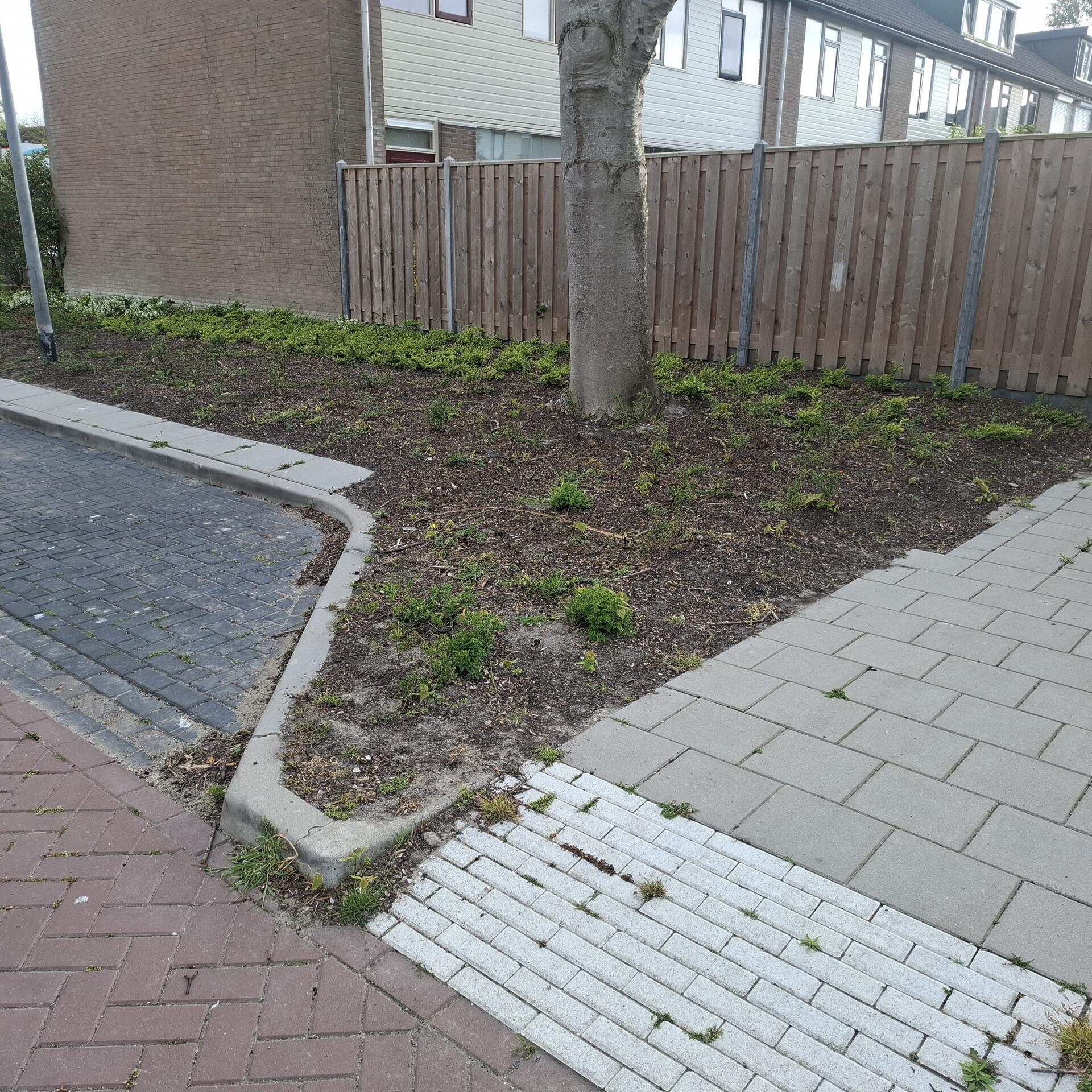Foto bij melding 5076713 · Groenonderhoud