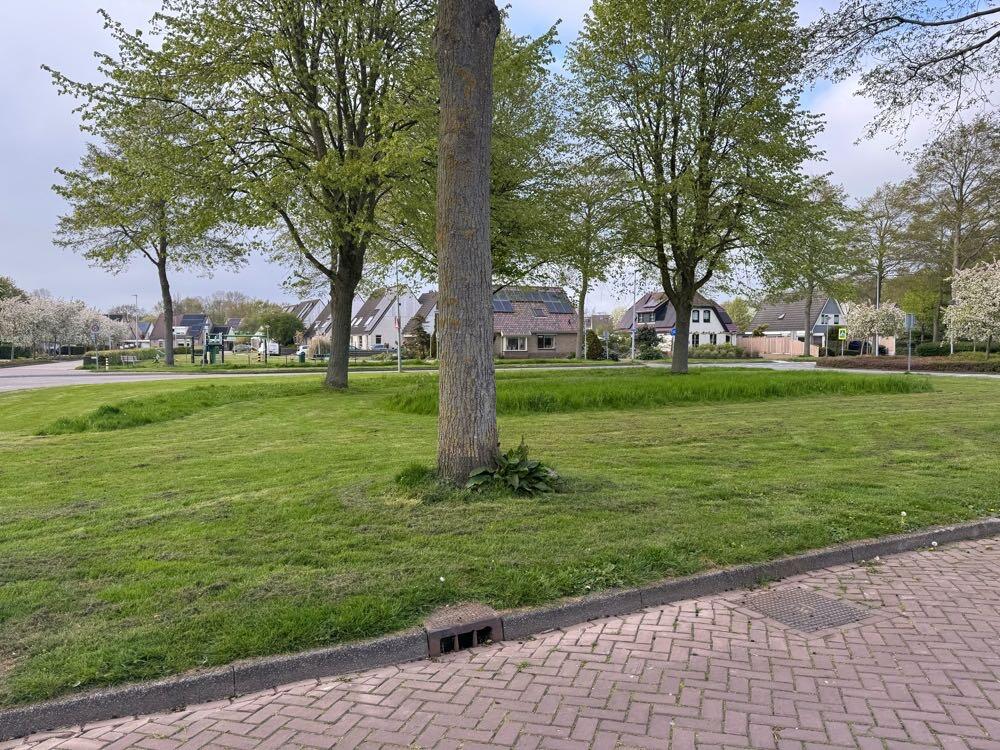 Foto bij melding 5048319 · Openbaar groen