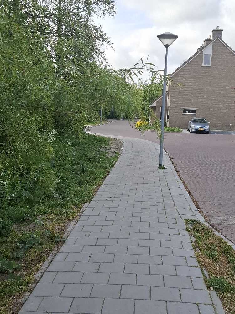 Foto bij melding 5078218 · Groenonderhoud