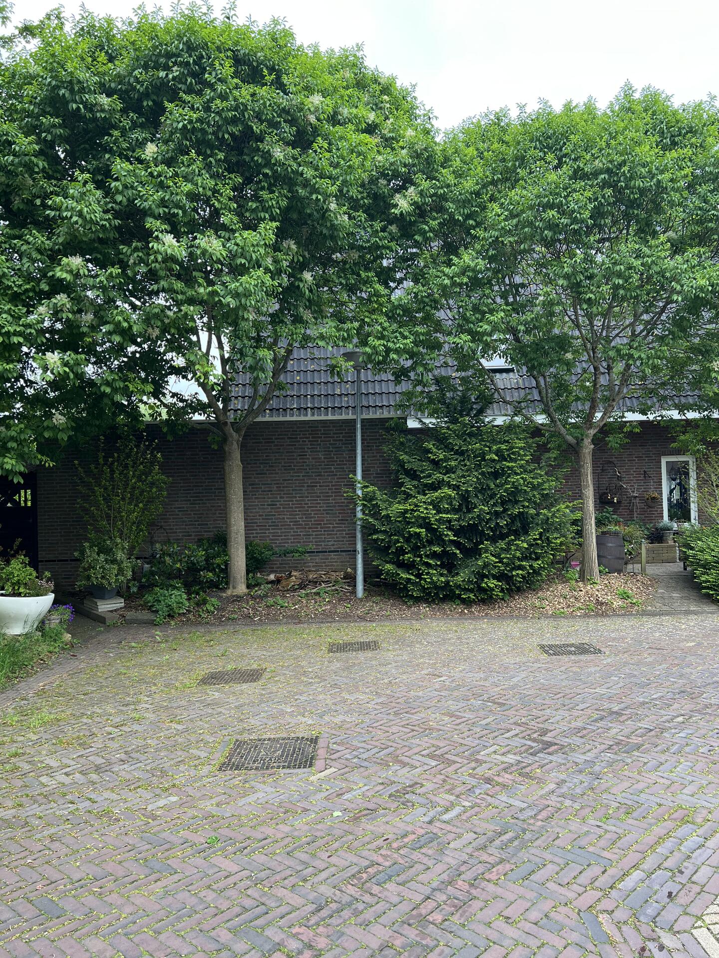 Foto bij melding 5123635 · Openbaar groen