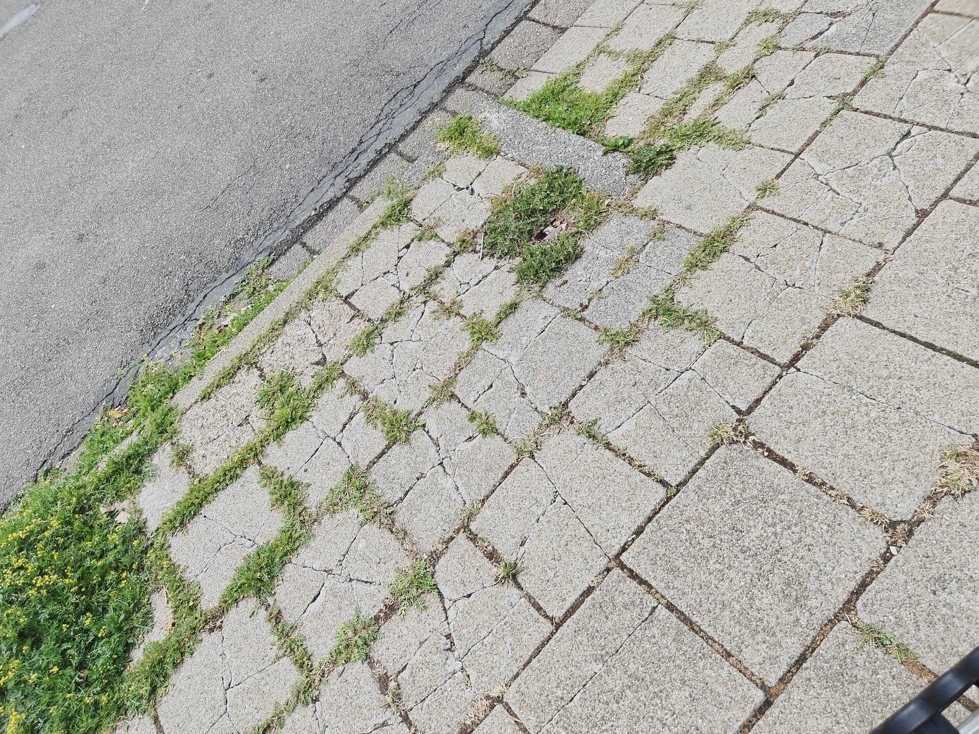 Foto bij melding 5474390 · Wegen en paden