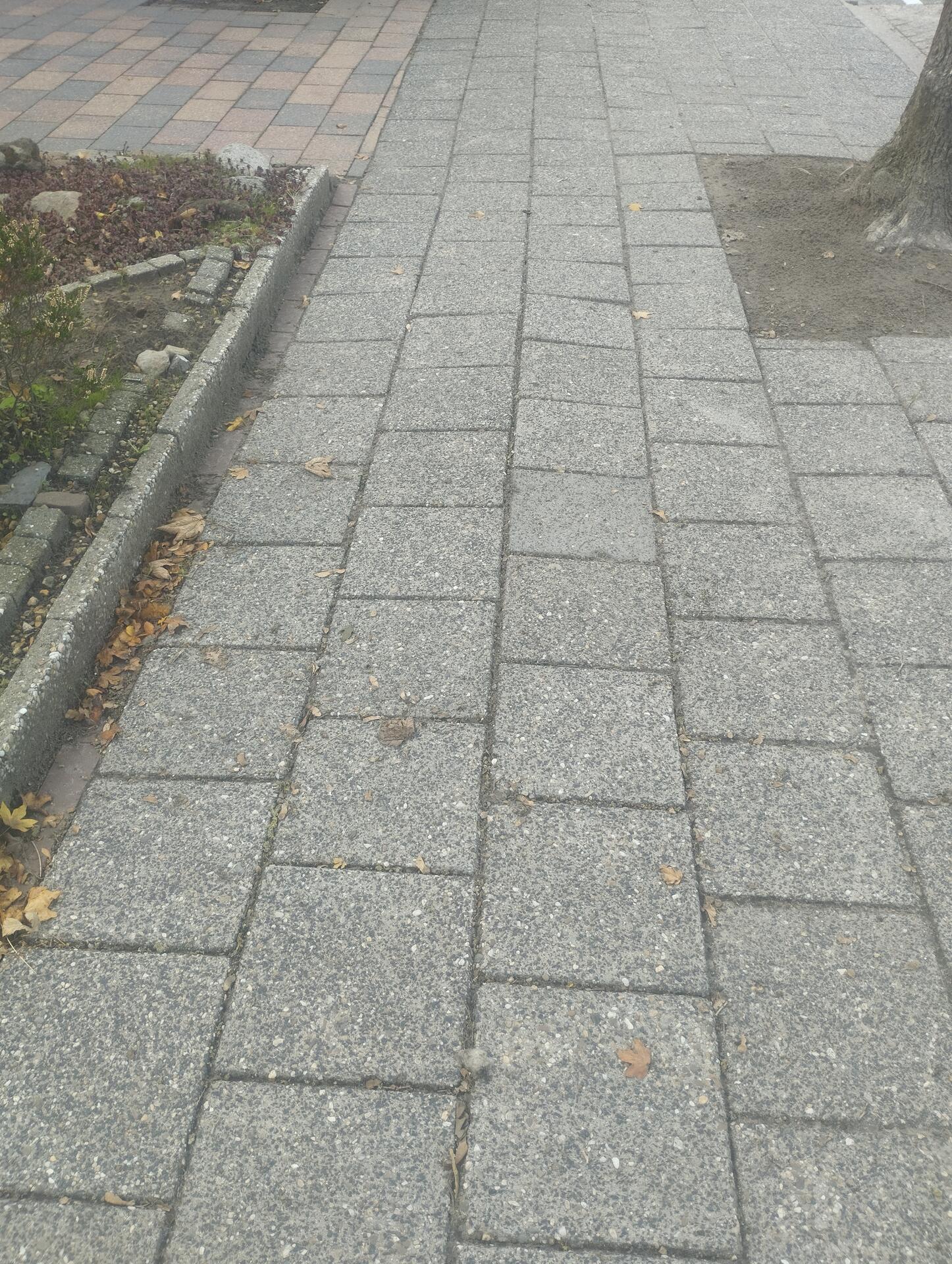 Foto bij melding 5634741 · Wegen, fietspaden, en stoepen