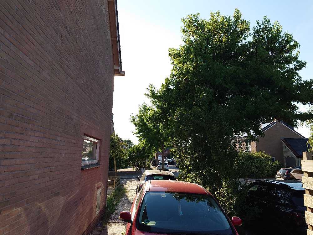 Foto bij melding 5462599 · Openbaar groen