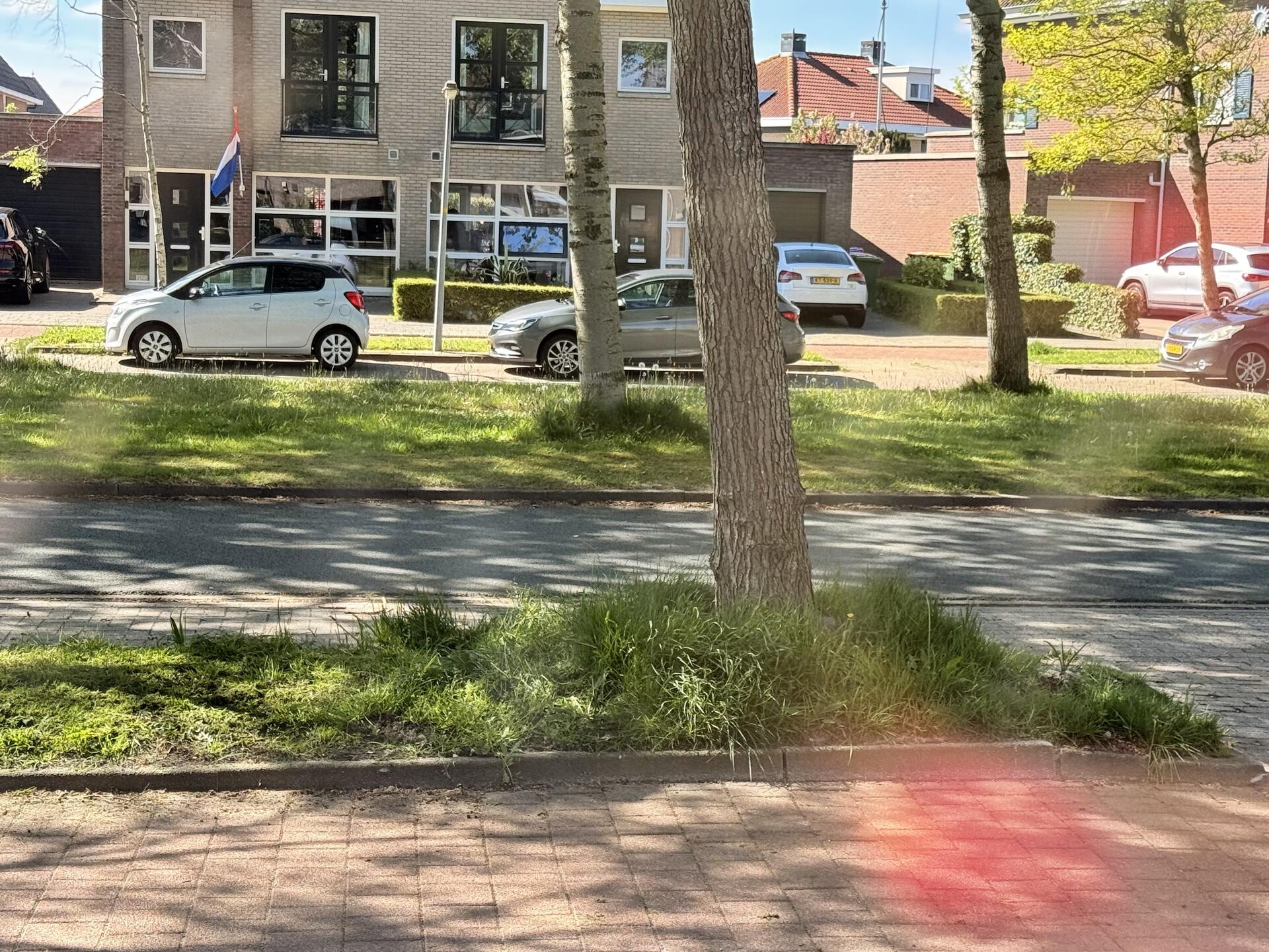 Foto bij melding 5074779 · Groenonderhoud