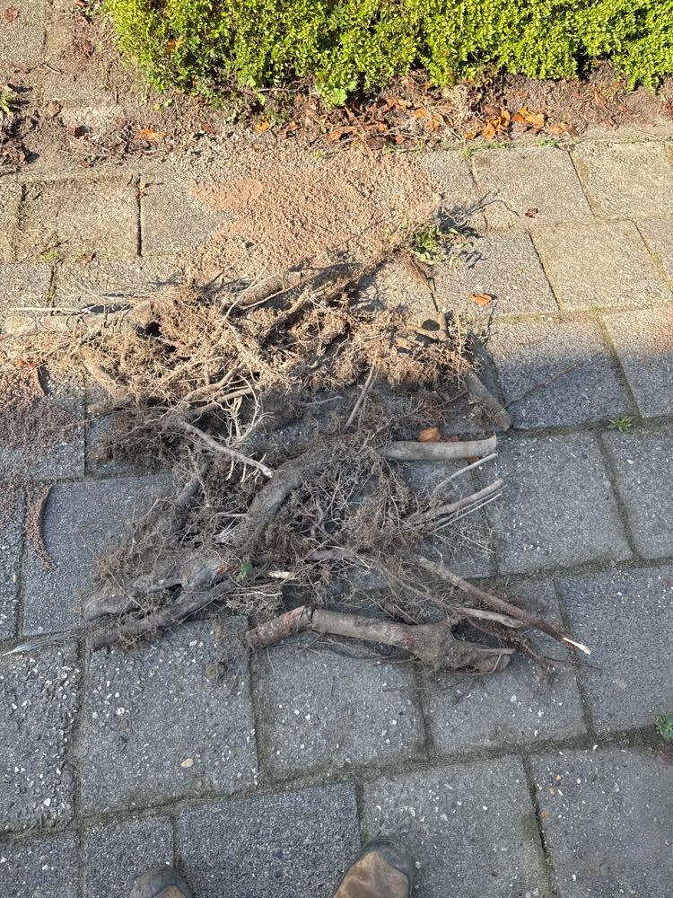 Foto bij melding 5653199 · Wegen, fietspaden, en stoepen