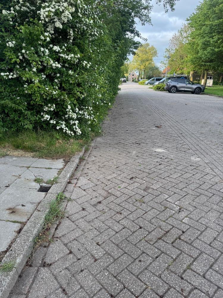 Foto bij melding 5076692 · Wegen, fietspaden, en stoepen