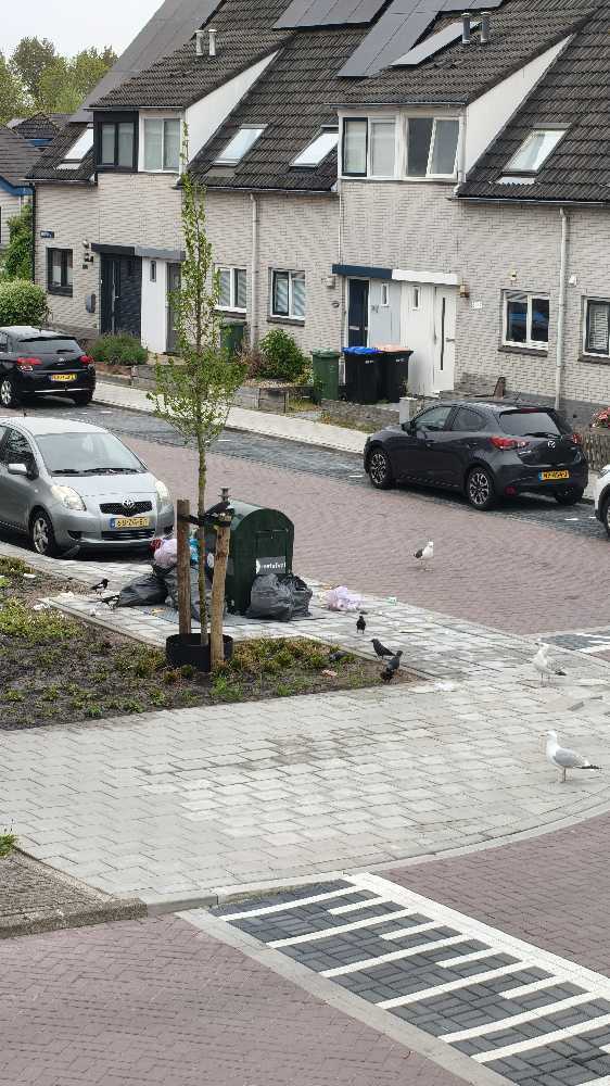 Foto bij melding 5070550 · Afval en zwerfvuil