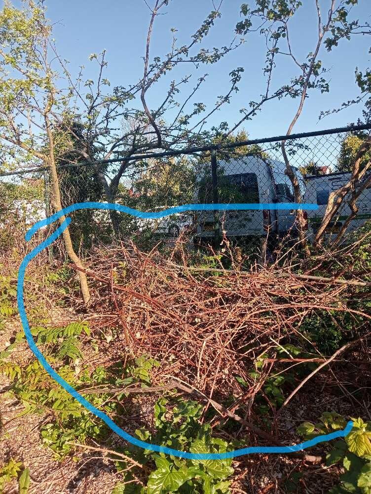 Foto bij melding 5033848 · Openbaar groen