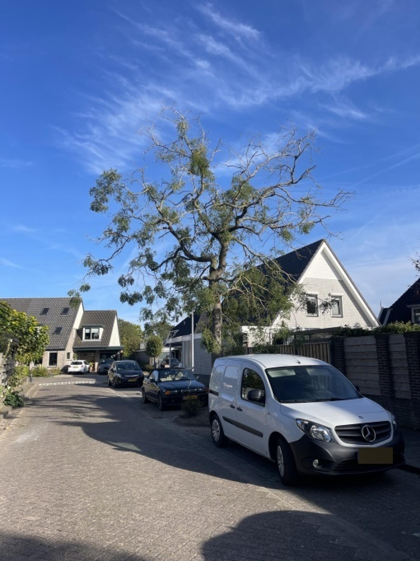 Foto bij melding 5620758 · Wegen, fietspaden, en stoepen