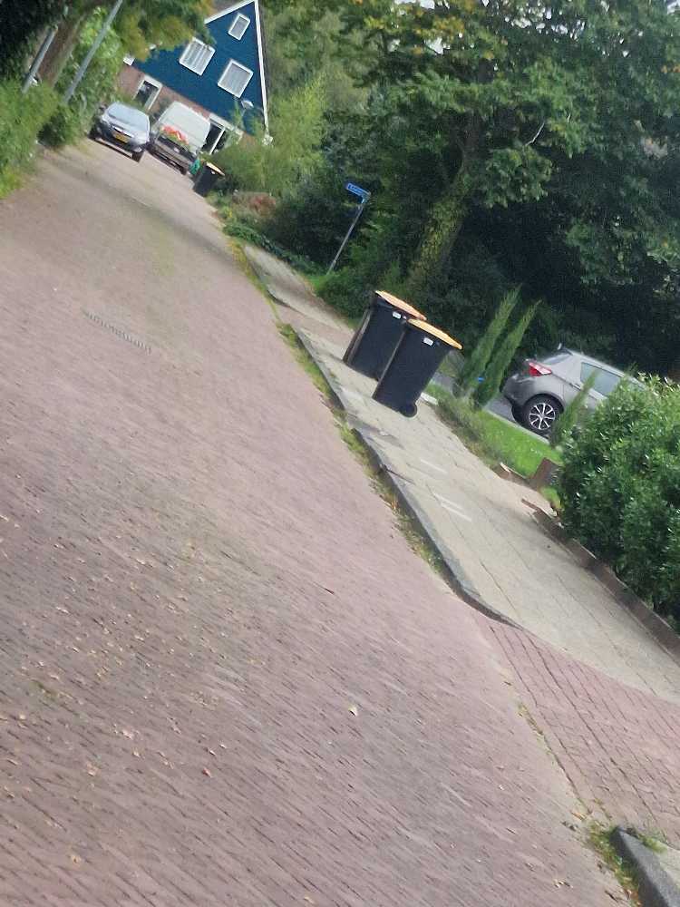 Foto bij melding 5606399 · Openbaar groen