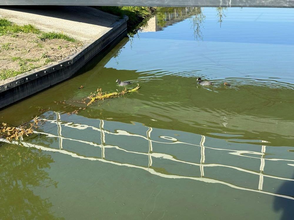 Foto bij melding 5130409 · Bruggen, tunnels en water